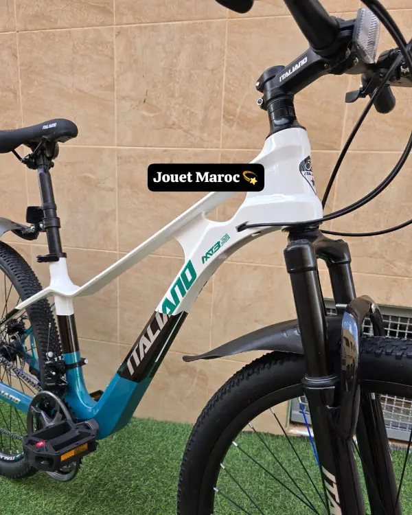 VÉLO VTT ITALIANO ALUMINIUM 985 26 pouces 07